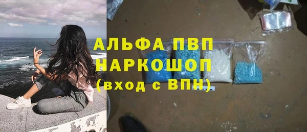 твердый Иннополис