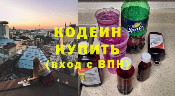 твердый Иннополис