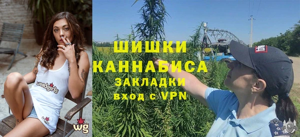 твердый Иннополис