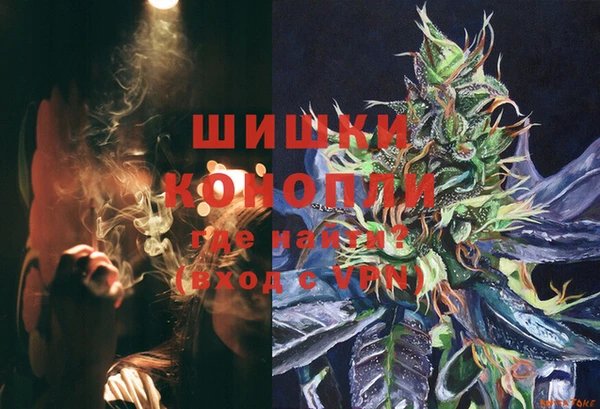 твердый Иннополис