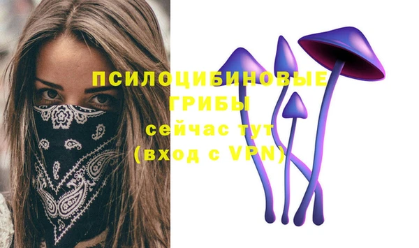 скорость Каменка