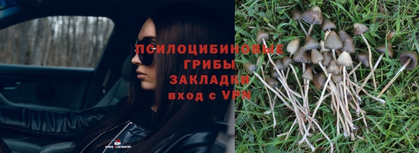 круглые Инсар