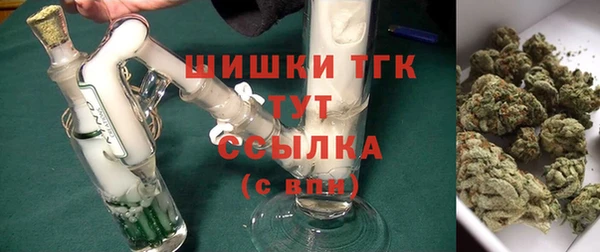 твердый Иннополис