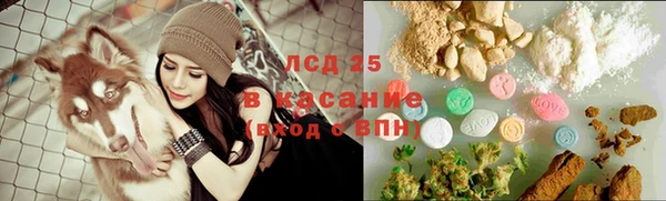 твердый Иннополис